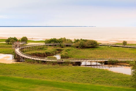 Photo of Pärnu Coastal Meadow Hiking Trail, Estonia.