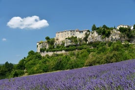 Viagem de meio dia para grupos pequenos nos campos de lavanda de Provença