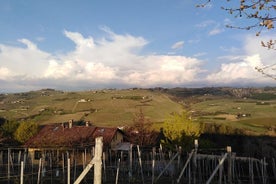 Abellonio Cascina Piccaluga - Besuch der Weinberge, des Weinverkostungskellers