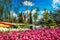 Traditional Tulip Festival in Emirgan Park, a historical urban park at springtime, spring travel background.