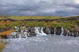 Frá Reykjavík: Ferð í íshelli jökulsins