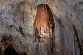 The Bear's cave: 1 day airconditioned car tour from Oradea