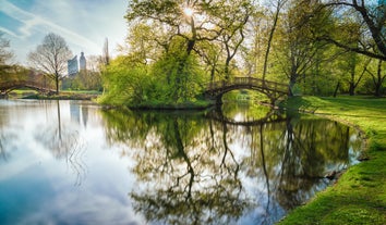 Photo of scenic summer view of the Old Town architecture with Elbe river embankment in Dresden, Saxony, Germany.