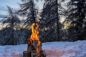 Learn How to Cook Salmon Soup in the Magical Finnish Forest