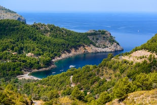 Photo of the famous orange tram runs from Soller to Port de Soller, Mallorca, Spain.