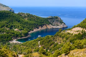 Photo of the famous orange tram runs from Soller to Port de Soller, Mallorca, Spain.