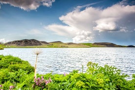 Akureyri Port: Lake Mývatn & Goðafoss Guided Tour with Lunch