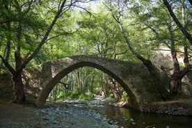 Frá Paphos: Troodos fjöllin - Falin heillartúr