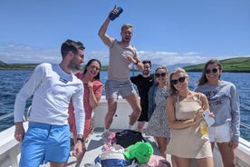 Tour privado en barco guiado de 1 hora en la península de Dingle