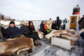 Stockholm: Winter Boat Tour with Guide