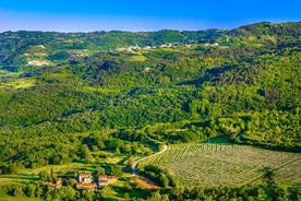 Experiência de excursão privada de vinho de dia inteiro na Ístria saindo de Porec