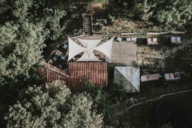 Old Bar and Rope Swing i canyonen med en lokal