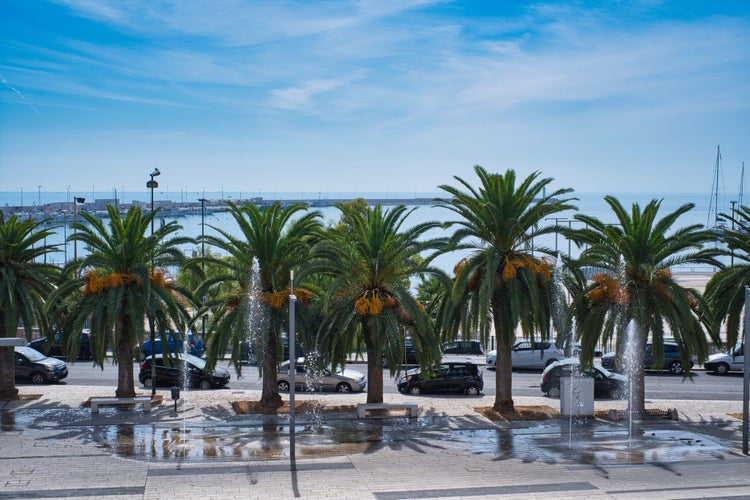 Photo of mighty palm trees on a coastal road in Manfredonia, Italy.