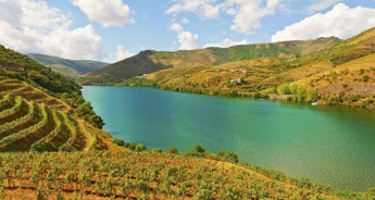 Gems of Porto & the Douro Valley with Douro River Cruise - 5 Days in Portugal