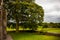 PHOTO OF Spring in Bective Abbey (Mainistir Bheigti), Ireland.