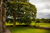 Bective Abbey travel guide