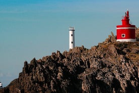 Ontdek de schoonheid van Rías Baixas tijdens een privétour van een hele dag