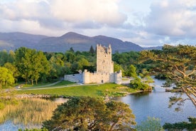 Tour in carrozza da Killarney al Ross Castle