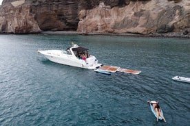 Passeio de barco de 4 horas com mergulho com snorkel saindo de Porto Rico e Mogan