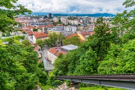 Capital of Slovenia, panoramic view with old town and castle.