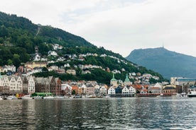 Bergen: Leiðsöguferð með smárútubíl með myndastoppum