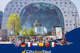 Rotterdam in 1 Day: Walking Tour with Digital Guide