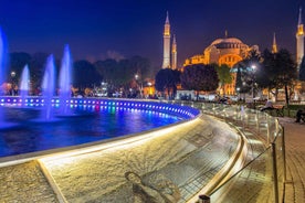 Istanbul: Full-Day Highlights Tour with Guide and Lunch