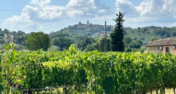 Tuscany Wine Trails