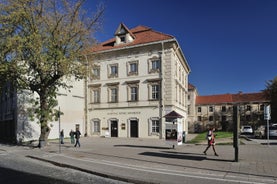 Aerial view of Vilnius old city.