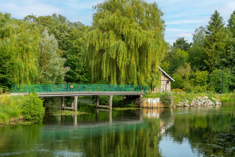 scenery around the Hortillonages in Amiens, a city and commune in northern France. It shows a idyllic park scenery named floating gardens of Amiens in sunny ambiance at summer time