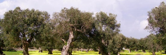 Il Giardino Di Flora