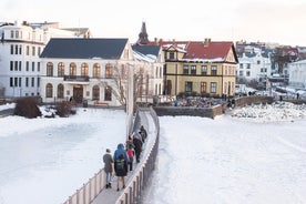 Reykjavík Wandeltocht met kleine groepen - door CityWalk