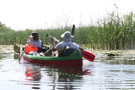 Tour privado de 3 días en el delta del Danubio