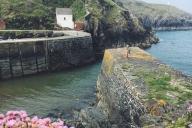 Randonnée dans le West Pembrokeshire