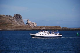 Dublin: Dublin Bay Cruise frá Howth til Dun Laoghaire