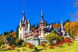 Dracula Castle, Peles Castle & Brasov City ,Private Tour