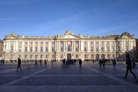 Dagstur till Toulouse och Canal du Midi. Privat rundtur från Carcassonne.