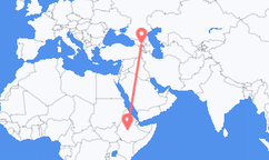 아디스아바바에서 출발해 트빌리시로 향하는 항공편