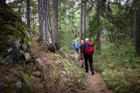 Tiveden National Park: Morning Tour with Breakfast