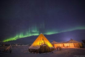 Jantar em acampamento de renas com oportunidade de observar as Luzes do Norte em Tromso