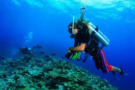 Scuba Diving Tour with Lunch in Alanya