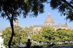 Jerez Historische rondleiding met paardenshow en rondleiding door de wijnmakerij