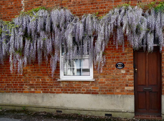 Oxford in spring.jpg