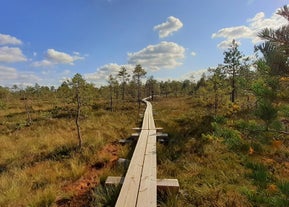 Torronsuo National Park