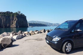 Transfer from Naples to Positano with 2 hours Private Tour in Herculaneum