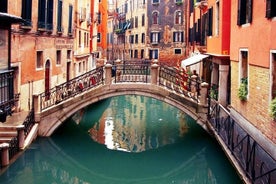 Venice Shore Excursion: Private Half-Day Walking Tour