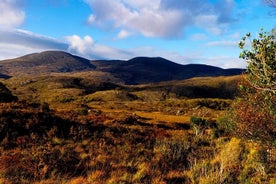 Kerry Highlights Day Tour from Dublin