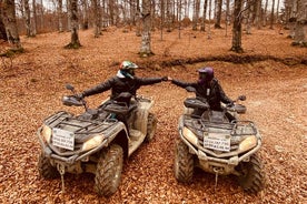 ATV Rent in Busteni 