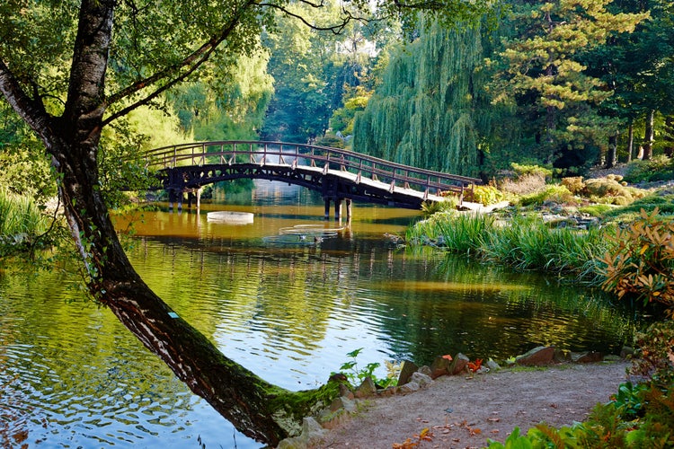 Photo of botanical garden in Wroclaw, Poland.