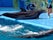 Odesa Dolphinarium Nemo, Odesa, Одеський район, Odesa Oblast, Ukraine